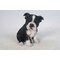 boston terrier puppy statue